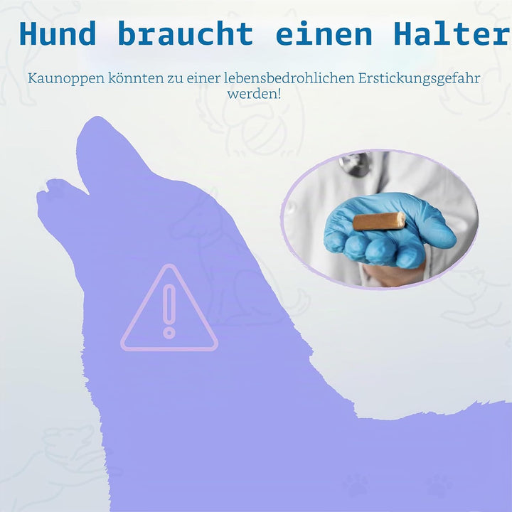 PetClan Chewise Bully Stick Halter – Sicherheit &amp; Robustes Design, BPA-frei, Sicherer Ochsenziemer-H