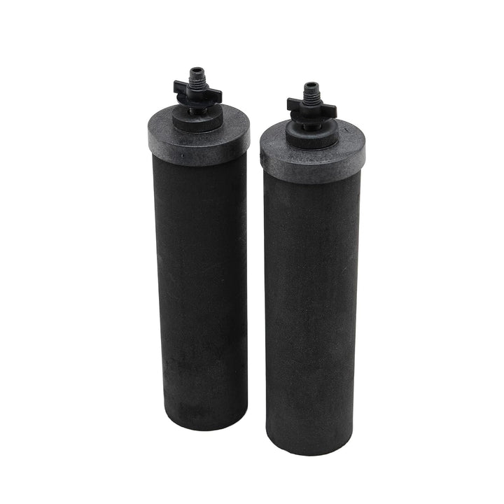 Berkey BK4X2-BB Big Berkey Stainless Steel Water Filtration System with 2 Black Filter Elements by