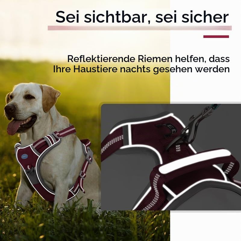ThinkPet Anti Zug Hundegeschirr mit Griff - Verstellbar ohne Würgen, Reflektierend, Atmungsaktiv, Ge