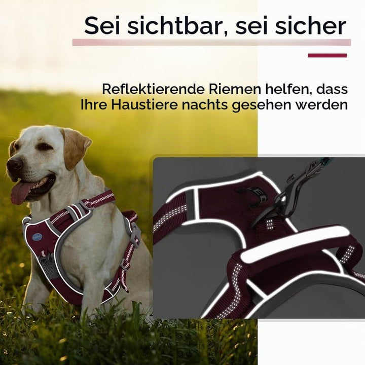 ThinkPet Anti Zug Hundegeschirr mit Griff - Verstellbar ohne Würgen, Reflektierend, Atmungsaktiv, Ge