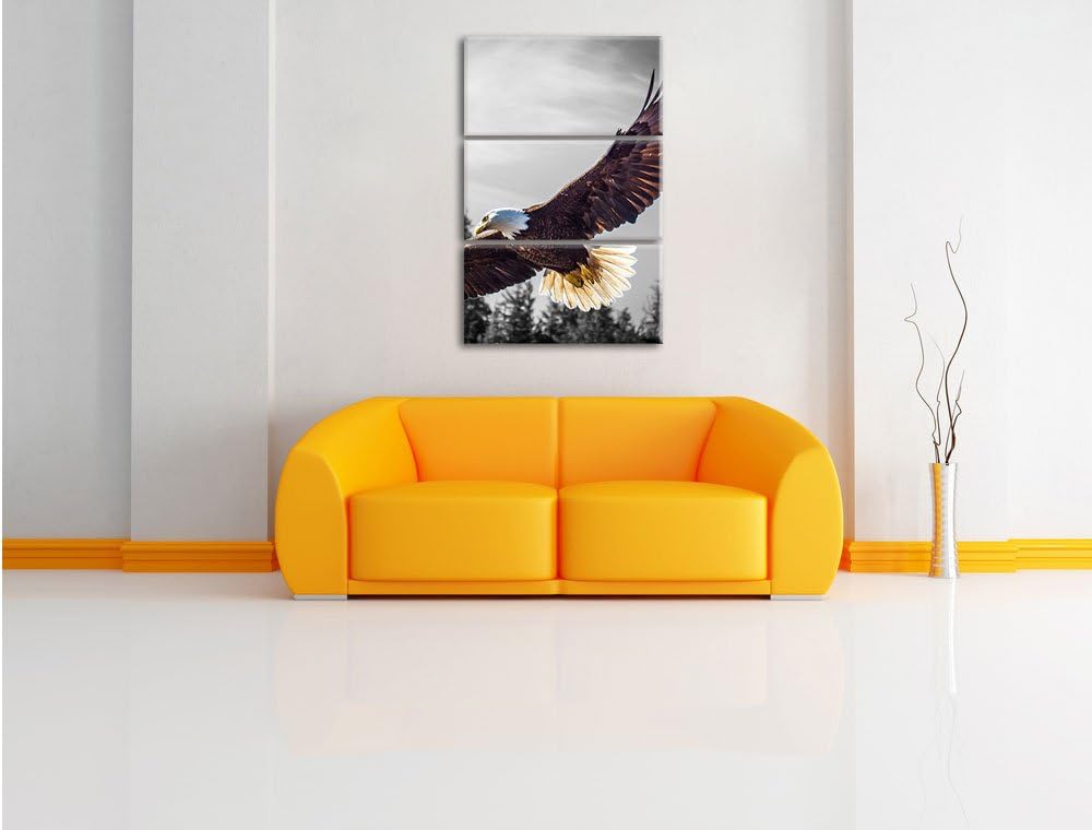 Pixxprint grosser Fliegender Adler schwarz/weiss als Leinwandbild | Grösse: 3 Teilig (120x80) | Wand
