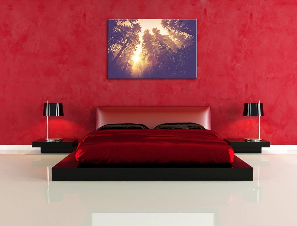 Blick in die Baumwipfel, Format: 100x70 auf Leinwand, XXL riesige Bilder fertig gerahmt mit Keilrahm