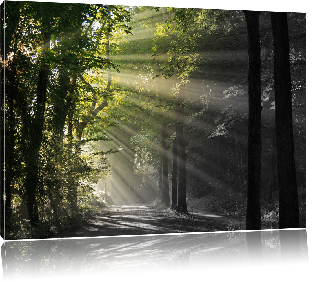 Pixxprint Waldweg im Frühling als Leinwandbild/Grösse: 100x70 cm/Wandbild/Kunstdruck/fertig bespannt