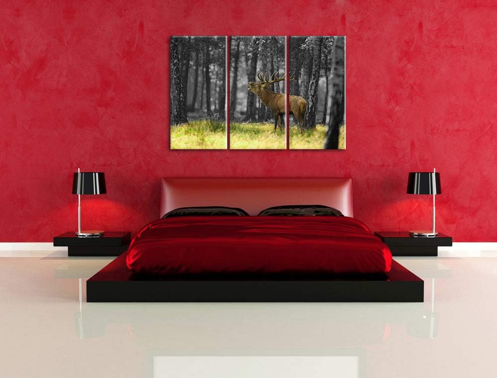 Pixxprint röhrender Hirsch im Wald als Leinwandbild | Grösse: 3 Teilig (120x80) | Wandbild| Kunstdru