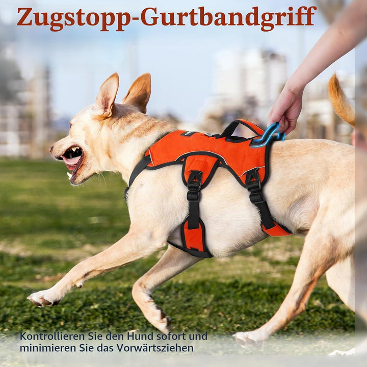 rabbitgoo Ausbruchsichere Hundegeschirr Mittelgrosse Hunde mit Grosse Griff, Anti Zug Sicherheitsges