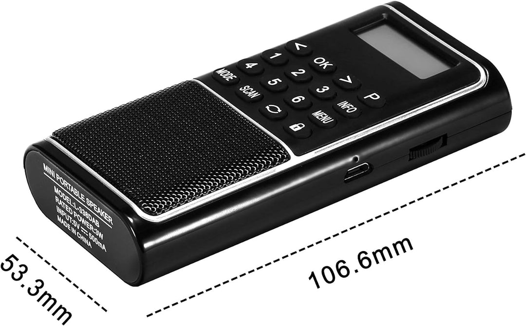 Raddy RD23 Tragbares DAB Radio Klein DAB+ UKW Digitalradio mit Akku taschenradio mit BT Küchenradio