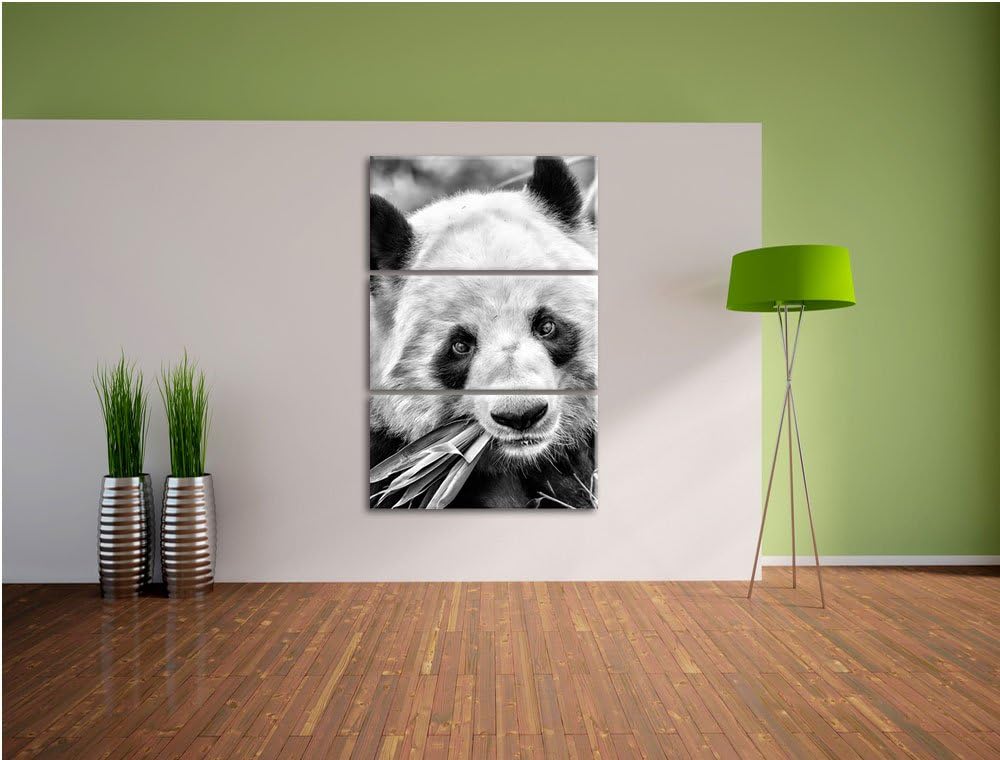 Pixxprint Pandabär frisst Bambus als Leinwandbild/Grösse: 3 Teilig (120x80) / Wandbild/Kunstdruck/fe