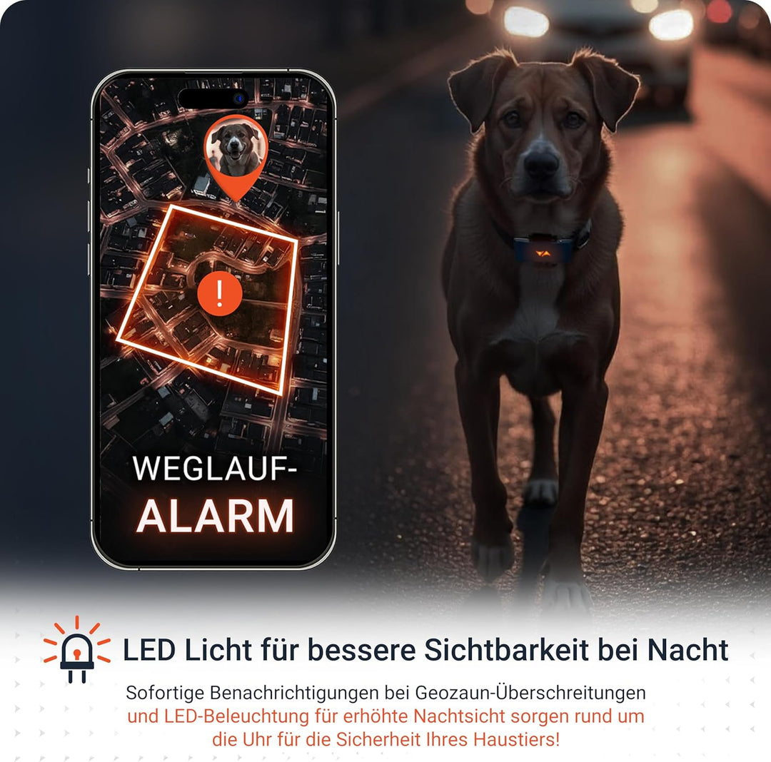 PAJ GPS Tracker für Hunde - 4G - Weglaufalarme + weltweite Live-Ortung - bis zu 10 Tage Akkusparmodu