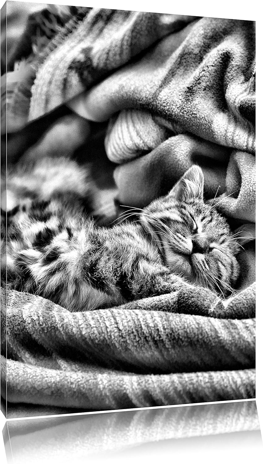 Monocrome, Babykatze, Format: 100x70 auf Leinwand, XXL riesige Bilder fertig gerahmt mit Keilrahmen,