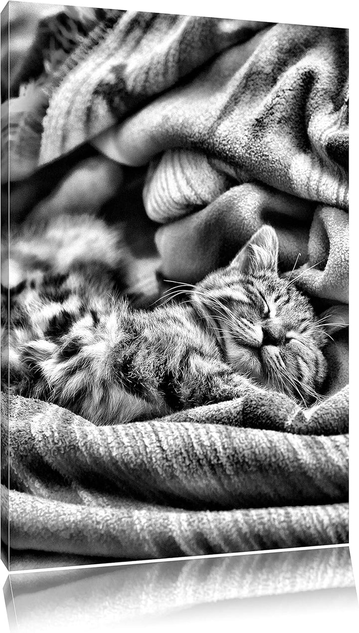 Monocrome, Babykatze, Format: 100x70 auf Leinwand, XXL riesige Bilder fertig gerahmt mit Keilrahmen,