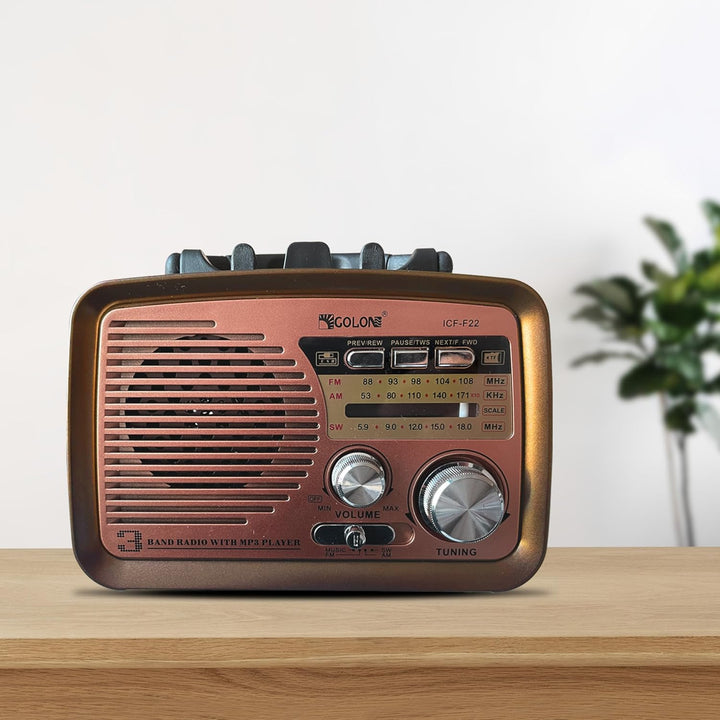 Retoo Radio Bluetooth FM Retro Nostalgie Kofferradio Gehäuse in Holzoptik Vintage Radio Kompaktanlag
