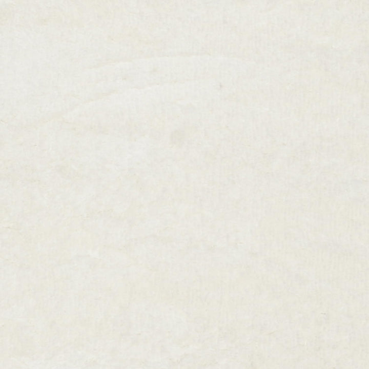 SAFAVIEH Zottelig Teppich für Wohnzimmer, Esszimmer, Schlafzimmer - Artic Shag Collection, Hoher Flo