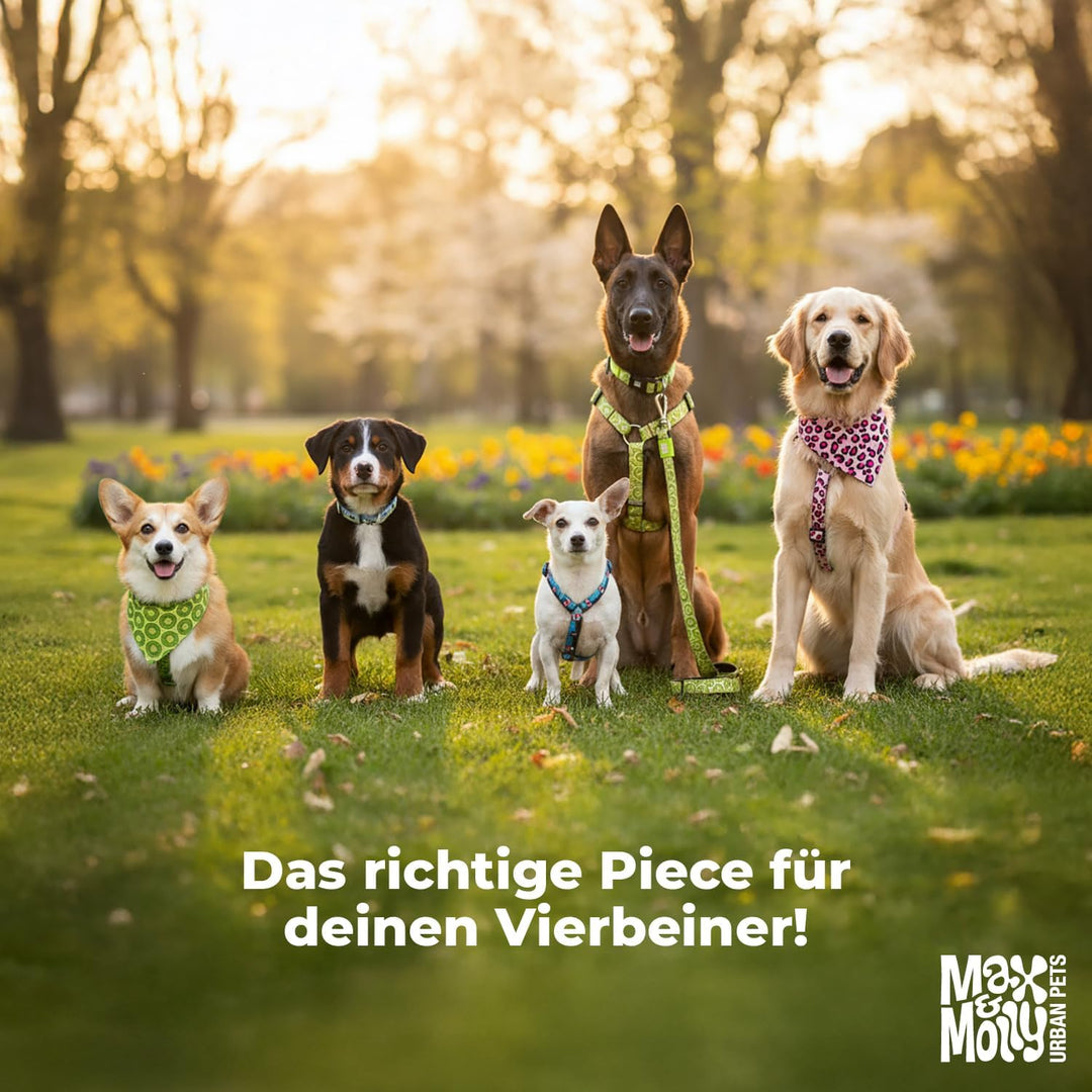 Max &amp; Molly Hundegeschirr Matrix 2.0 Türkis/XXS als Air Vest Geschirr, Step-In Geschirr mit Gotcha!