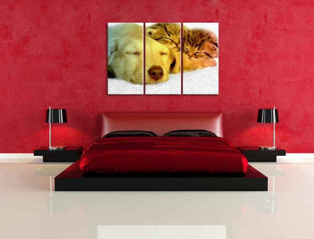 niedlicher Welpe kuschelt mit süssen Kätzchen schwarz/weiss 3-Teiler Leinwandbild 120x80 Bild auf Le