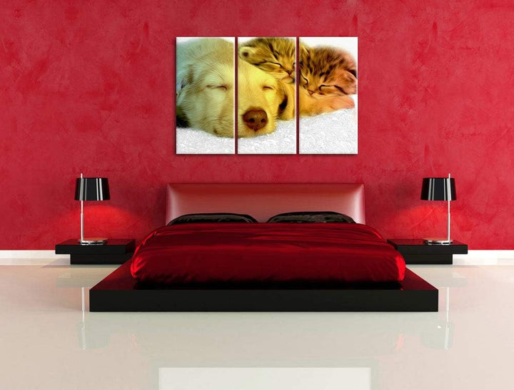 niedlicher Welpe kuschelt mit süssen Kätzchen schwarz/weiss 3-Teiler Leinwandbild 120x80 Bild auf Le