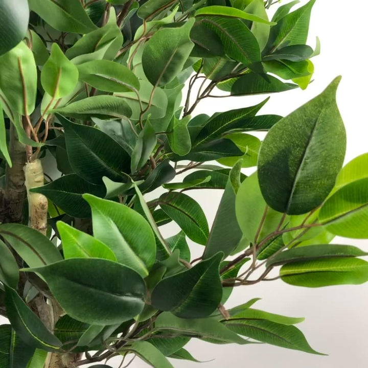 Leaf Künstlicher Ficusbaum, 110 cm, Evergreen ficus, LEAF-7371 110 cm Evergreen Ficus, 110 cm Evergr