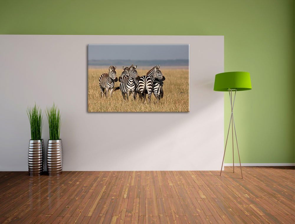 kleine Zebrahorde Leinwand, XXL riesige Bilder fertig gerahmt mit Keilrahmen, Kunstdruck auf Wandbil