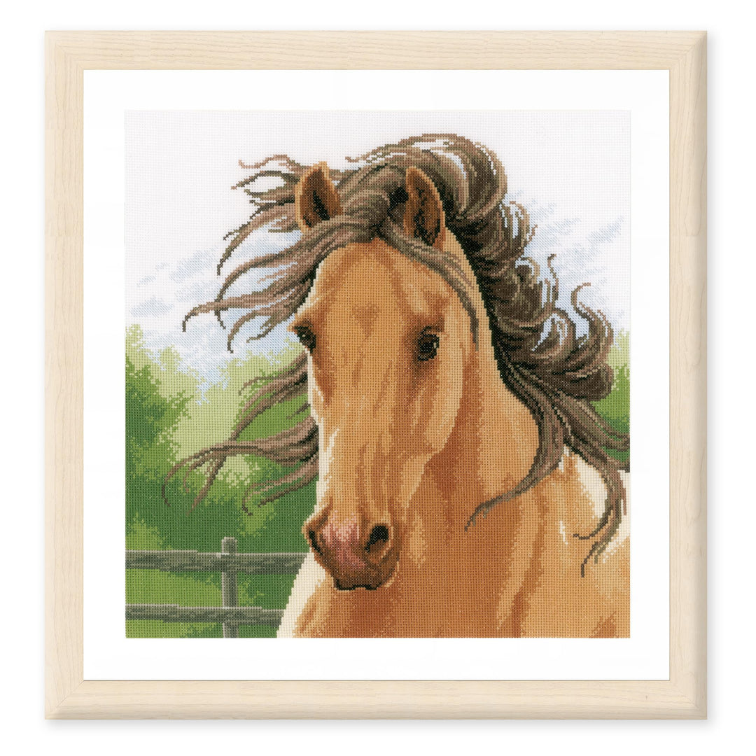Lanarte PN-0178867 Pferd II Zählmuster Kreuzstichset, Baumwolle, mehrfarbig, ca. 35 x 35 cm / 14" x