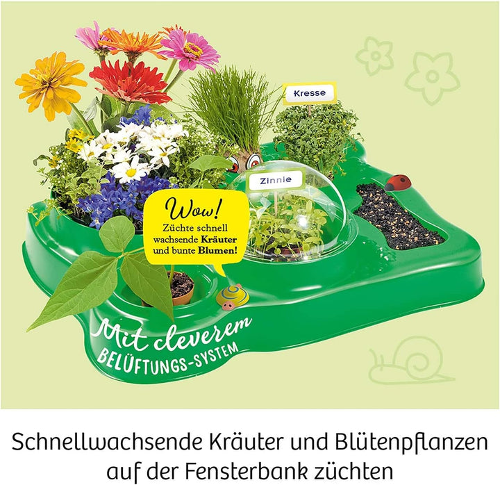 Kosmos 632083 Mein erstes Gewächshaus, Das Original, Erstes Gärtnern für Kinder ab 5 Jahre, Komplett