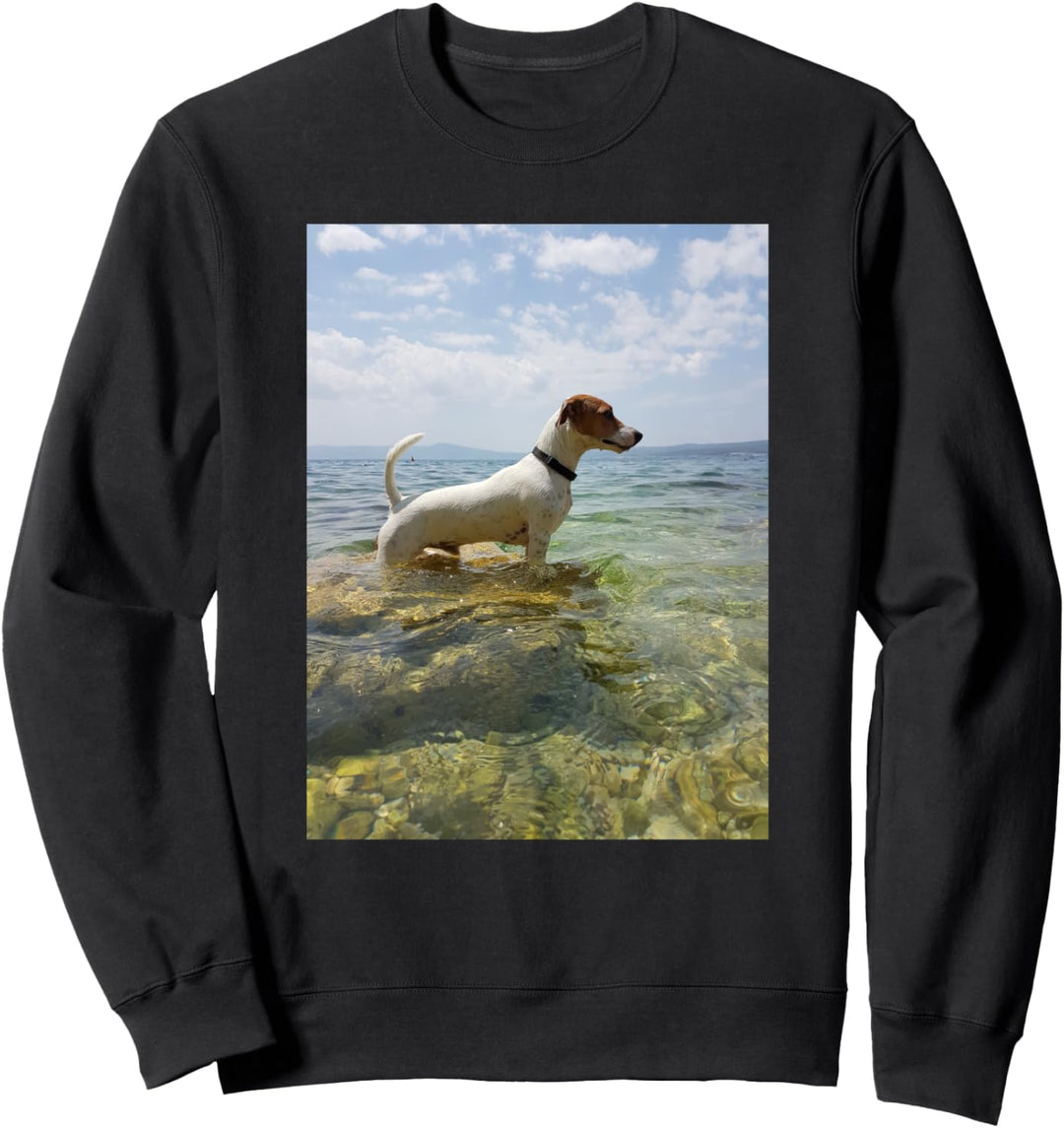Jack Russell Terrier Sweatshirt