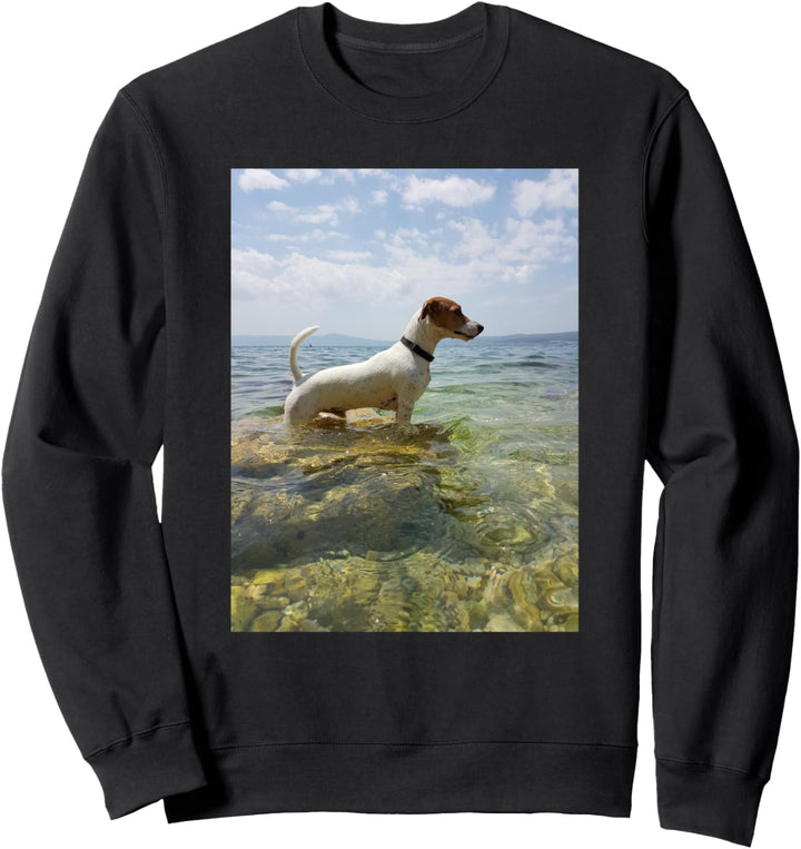 Jack Russell Terrier Sweatshirt
