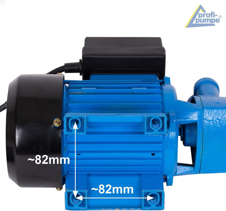 Amur Dieselpumpe, Heizölpumpe Biodieselpumpe Ölpumpe 230V Kraftstoff-pumpen elektrisch Diesel selbst
