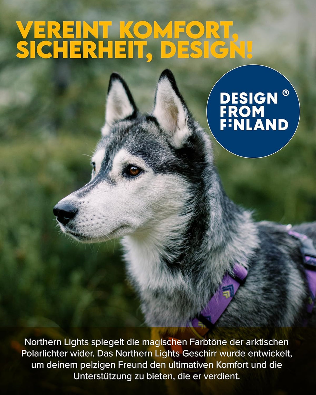 Woolly Wolf Northern Lights Hundegeschirr für kleine Hunde & Welpen XXS – Geschirr mit 5-Punkt-Anpas