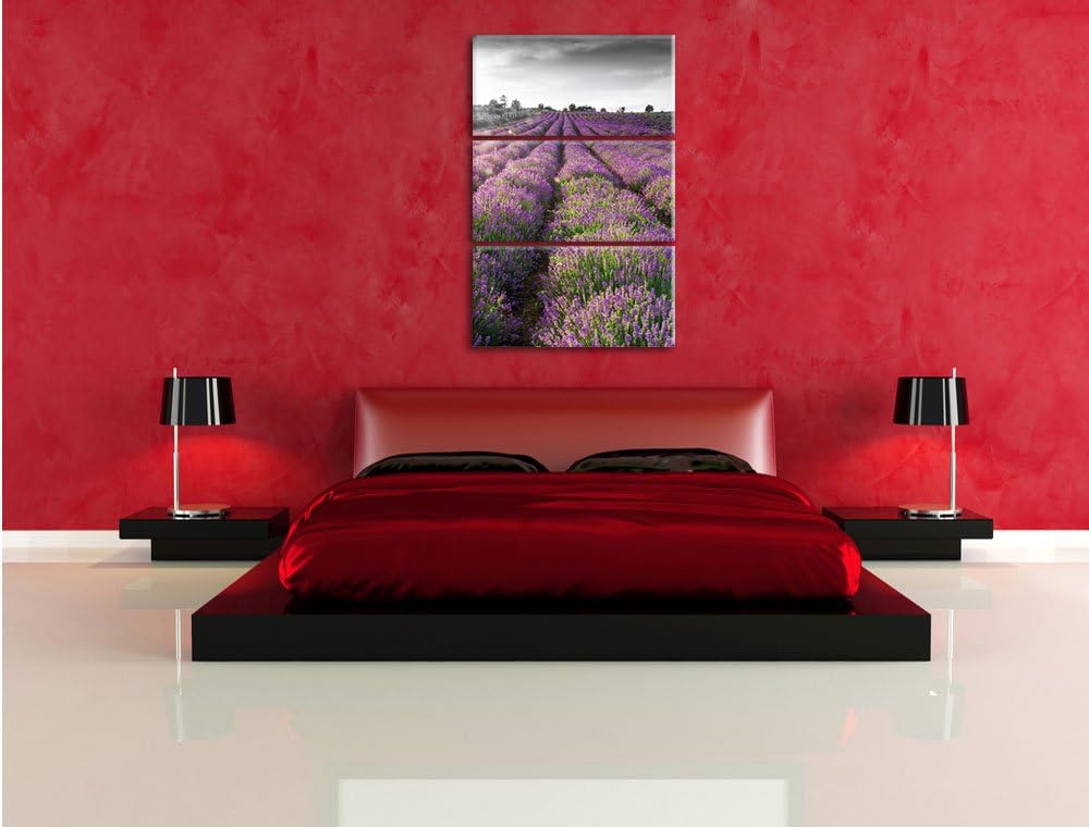 Pixxprint Lavendelfelder in der Provence als Leinwandbild/Grösse: 3 Teilig (120x80) cm/Wandbild/Kuns