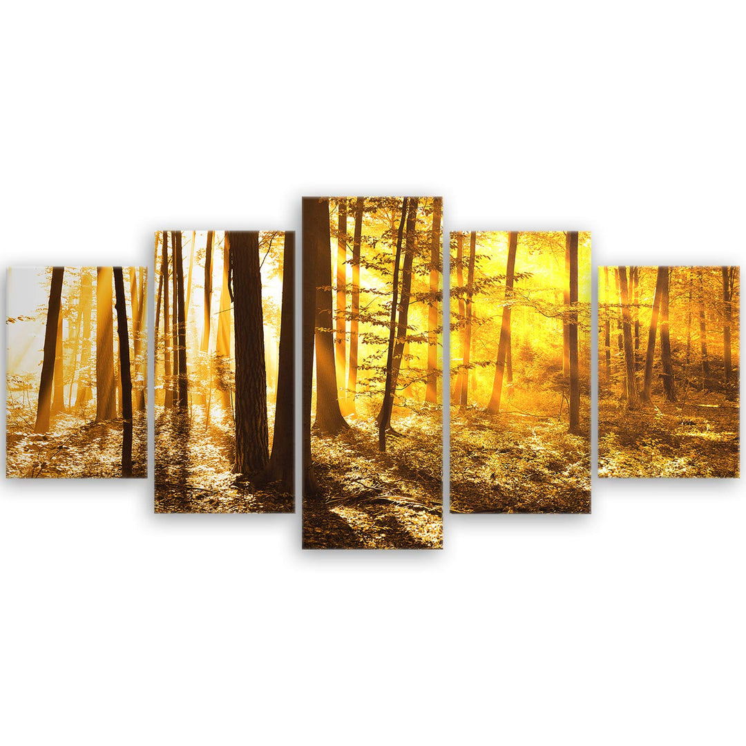 ge Bildet Bild auf Leinwand | Landschaftsbilder - beautiful morning in the forest G in 100x50 cm meh