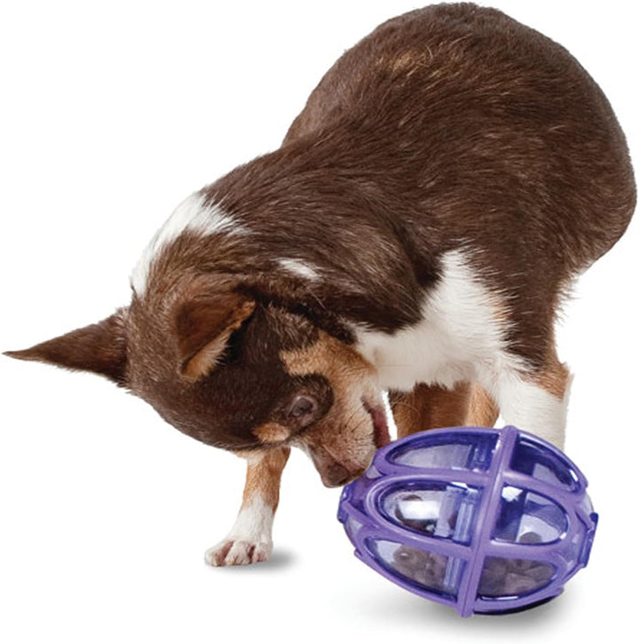 PetSafe Kibble Nibble Hunde-Snackspielzeug für Leckerlis und Trockenfutter, Spülmaschinenfest, BPA-f