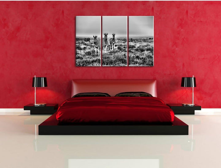 Pixxprint Zebra in der Savanne als Leinwandbild/Grösse: 3 Teilig (120x80) cm/Wandbild/Kunstdruck/fer