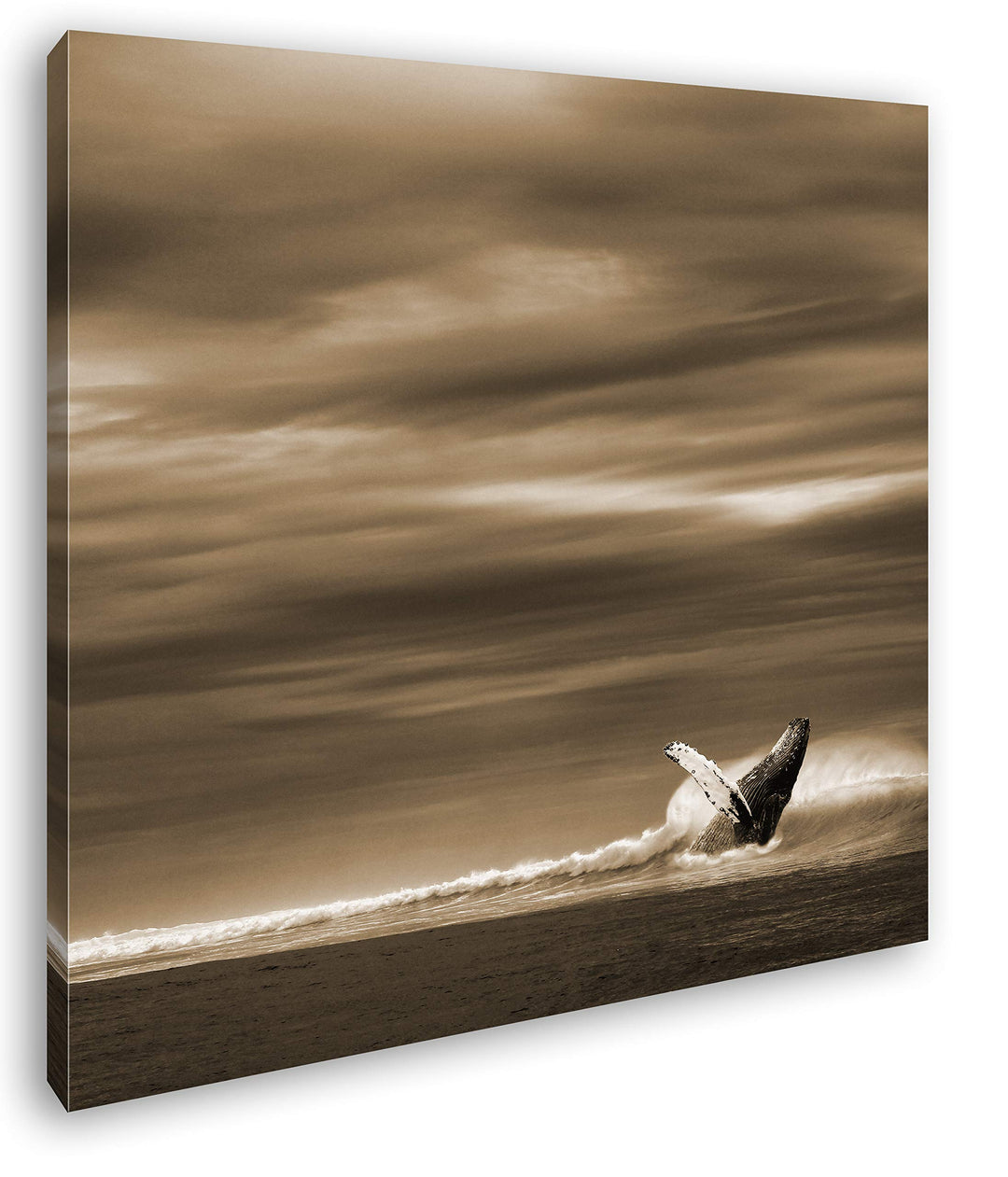 deyoli einsamer Wal Format: 60x60 Effekt: Sepia als Leinwandbild, Motiv fertig gerahmt auf Echtholzr