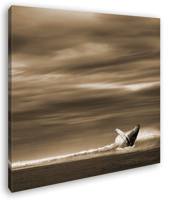 deyoli einsamer Wal Format: 60x60 Effekt: Sepia als Leinwandbild, Motiv fertig gerahmt auf Echtholzr