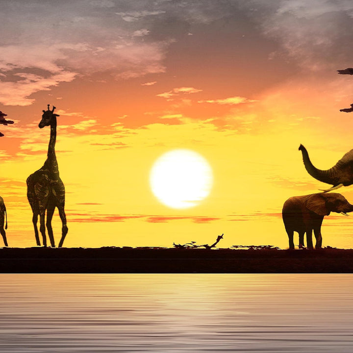 Runa Art Wandbilder Afrika Sonnenuntergang 5 Teilig Bild auf Vlies Leinwand Deko Wohnzimmer Schlafzi