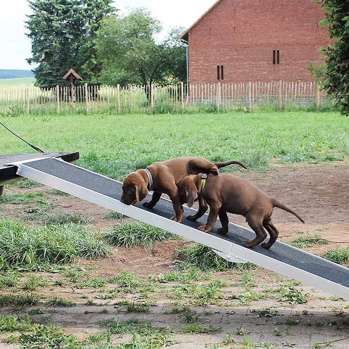 Petigi Hunderampe Hundetreppe Auto Kofferraum Treppen Rampe Einstiegshilfe für Hunde Klappbar Alumin