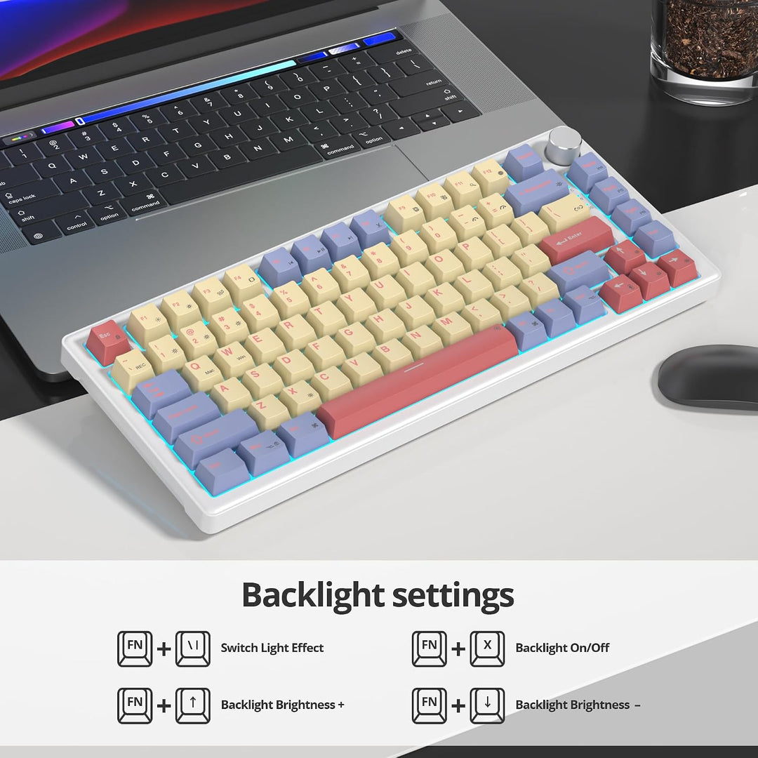 SOLIDEE Verkabelte Mechanische Gaming Tastatur 75 Prozent,hot-swap-fähige Mechanische Tastatur mit G