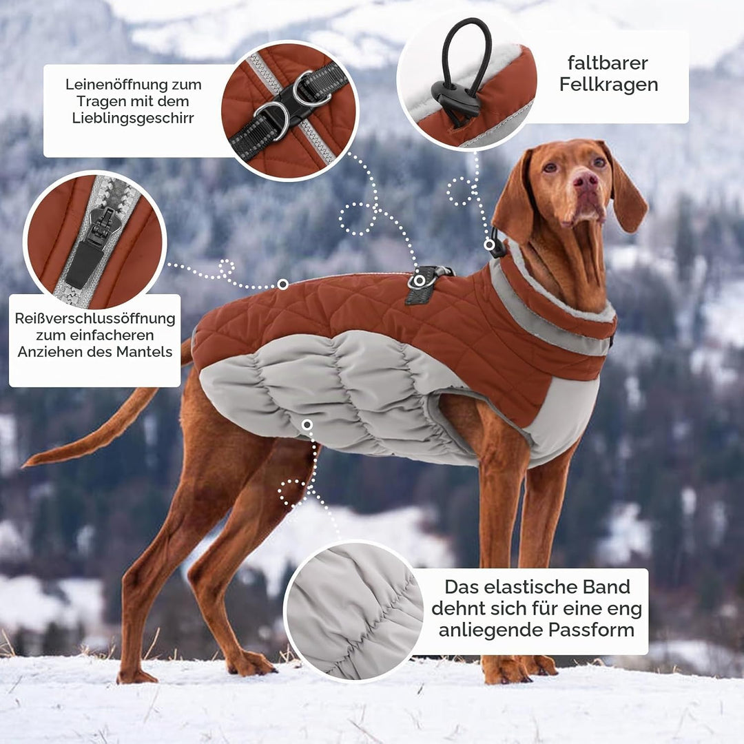Kuoser Hundejacke Hundemantel für Kleine Hunde Winterweste, Wasserdicht Hunde Wintermantel Jacke Win