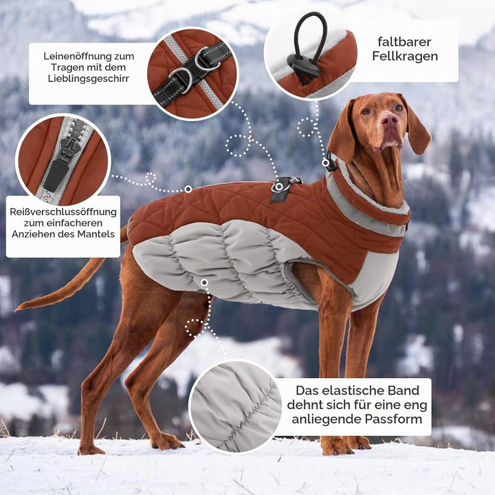 Kuoser Hundejacke Hundemantel für Kleine Hunde Winterweste, Wasserdicht Hunde Wintermantel Jacke Win