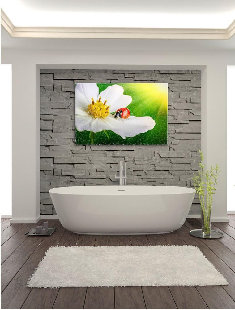 Pixxprint Marienkäfer auf Einer weissen Blume als Leinwandbild/Grösse: 100x70 / Wandbild/Kunstdruck/