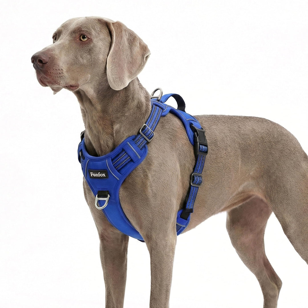 Funfox Hundegeschirr Grosse Hunde [XL] - Verstellbares Anti-Zug Brustgeschirr mit Griff & Reflektors