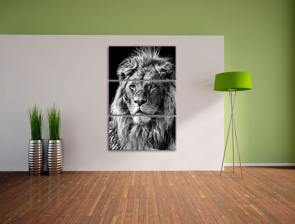 Pixxprint beeindruckender Löwe als Leinwandbild/Grösse: 3 Teilig (120x80) cm/Wandbild/Kunstdruck/fer