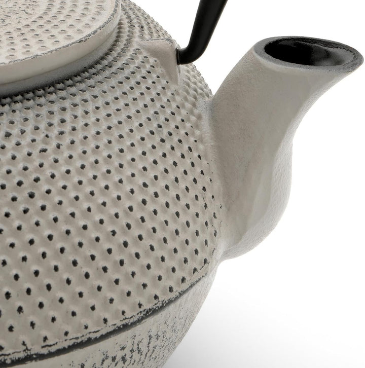 Bredemeijer Asia Teekanne Gusseisen Set 1.1 Liter - grauer Teekessel & Edelstahl-Filter-Einsatz für