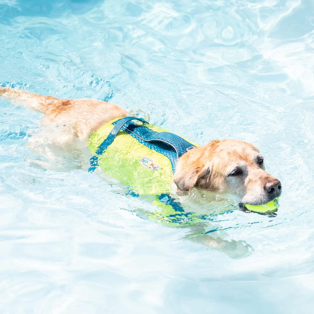 Outward Hound Standley Sport Green Performance Schwimmweste für Hunde, Grösse S Grün Small (Chest Gi