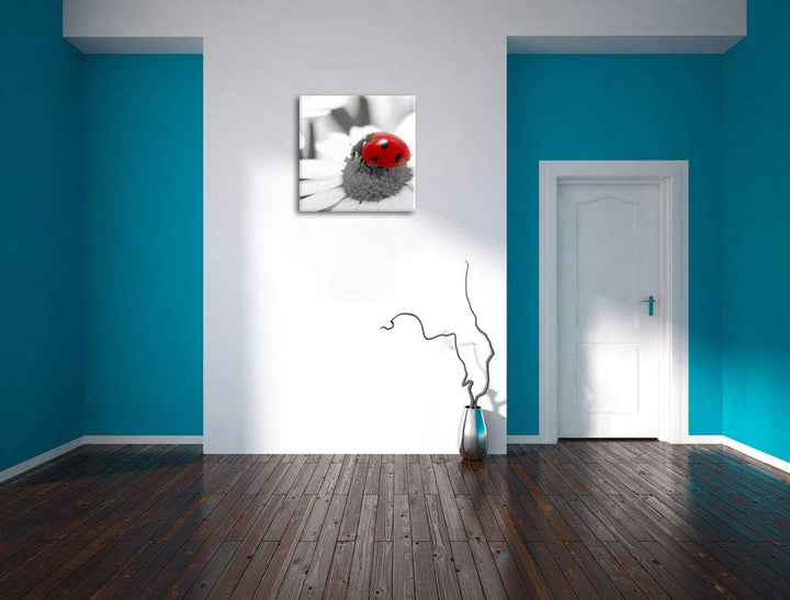 Pixxprint süsser Marienkäfer auf Gänseblume schwarz/weiss, Format: 70x70 auf Leinwand, 70x70