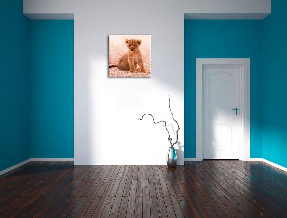 Verlassenes Löwenbaby, Format: 70x70 auf Leinwand, XXL riesige Bilder fertig gerahmt mit Keilrahmen,