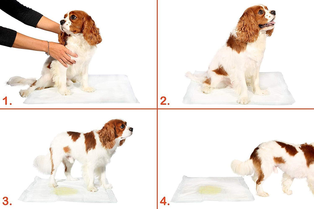 Hygienische Unterlagen für Haustiere Trainingsunterlagen für Welpen Puppy Training Pads Trainingpads