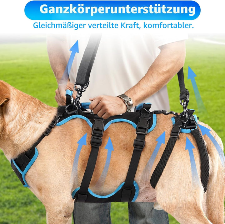 Hundelift-Geschirr für grosse Rüden - 2-in-1 abnehmbares Unterstützungsgeschirr für die Hinterbeine,