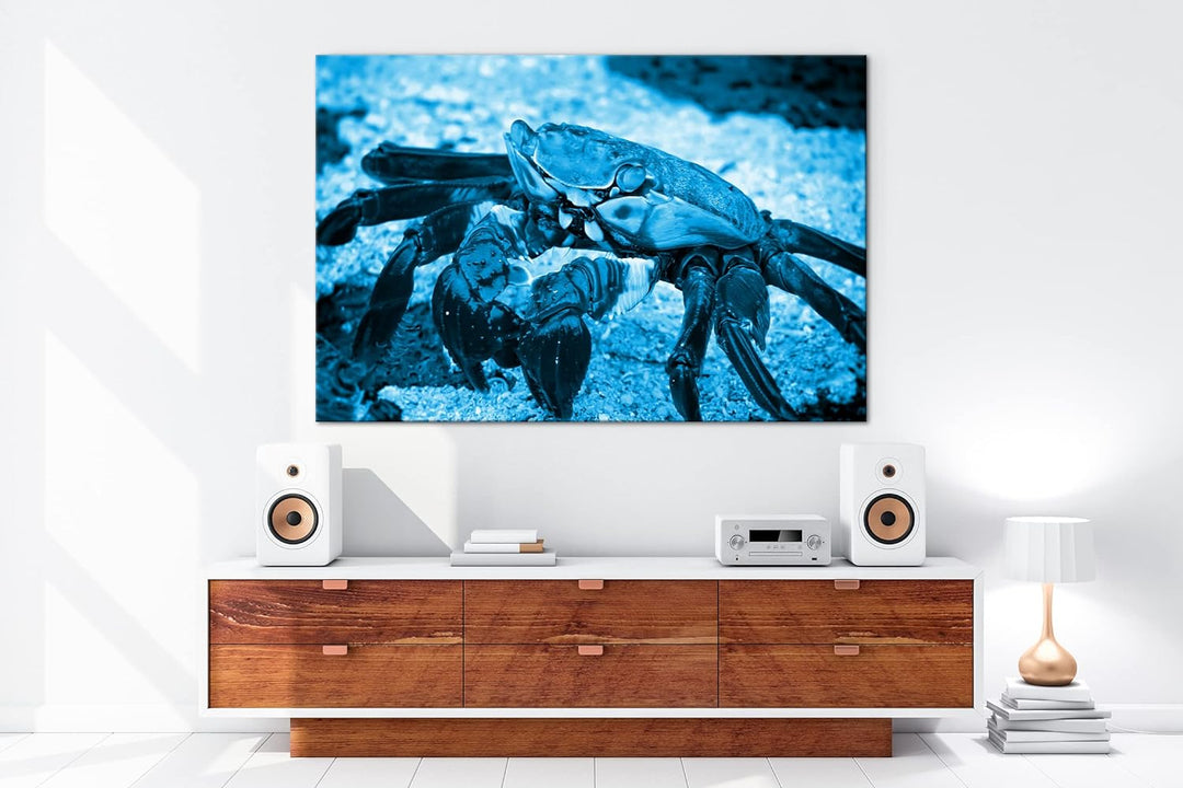deyoli bunte Krabbe am Strand Format 60x40 Effekt: Monocrome Blau als Leinwandbild, Motiv fertig ger