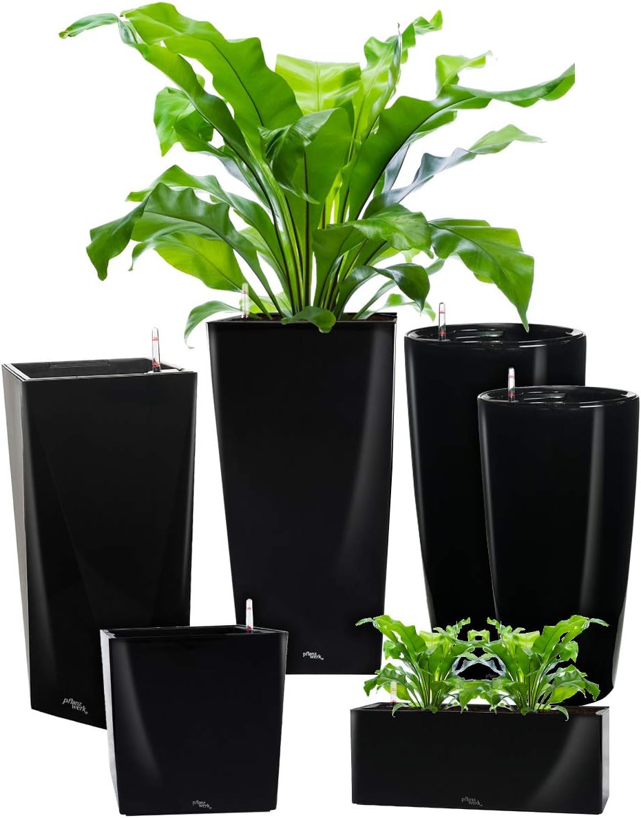 Pflanzwerk® ÖKOSYSTEM Pflanzkübel TUB - Blumentöpfe Übertöpfe mit BEWÄSSERUNGSSYSTEM - 32x56x28cm Sh
