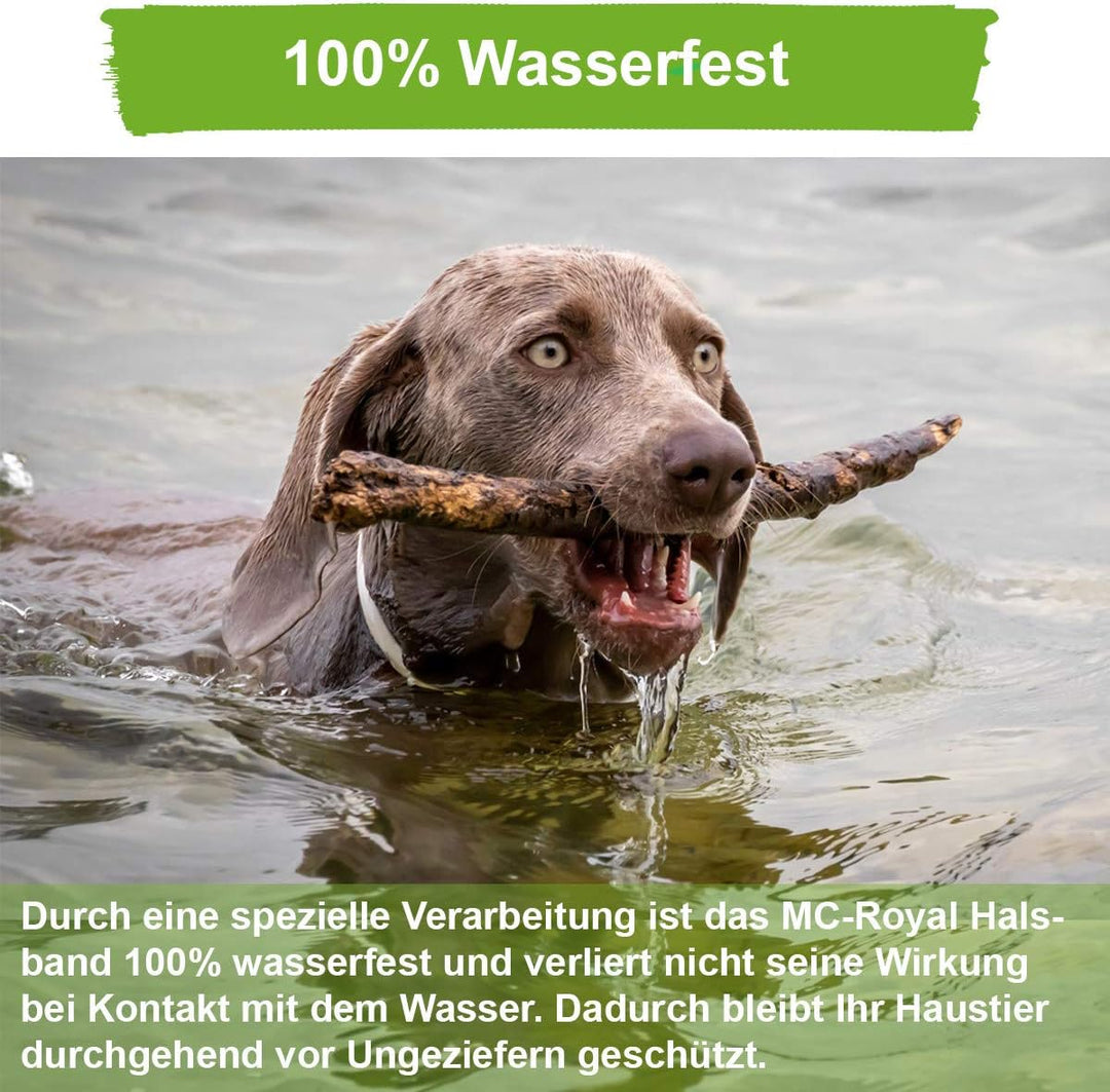 MC-Royal® Zeckenhalsband für Hunde - Effektiver Schutz vor Ungeziefern - wasserdicht und verstellbar